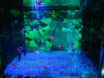 NARA KINGYO MUSEUMに投稿された画像（2024/8/23）