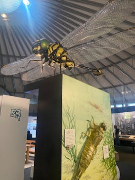 滋賀県立琵琶湖博物館に投稿された画像（2024/8/23）