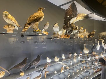 滋賀県立琵琶湖博物館に投稿された画像（2024/8/23）