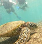 宮古島 ADVENTURE PiPi（ミヤコジマ アドベンチャー ピピ）に投稿された画像（2024/8/23）