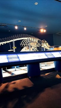 名古屋港水族館に投稿された画像（2024/8/23）