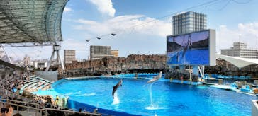 名古屋港水族館に投稿された画像（2024/8/23）
