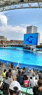 名古屋港水族館に投稿された画像（2024/8/23）