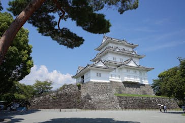 小田原城に投稿された画像（2024/8/23）