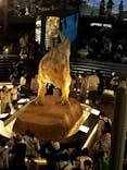 福井県立恐竜博物館に投稿された画像（2024/8/23）