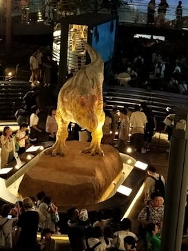 福井県立恐竜博物館に投稿された画像（2024/8/23）