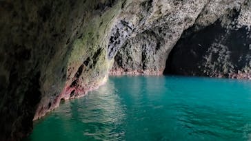 プロロマリンに投稿された画像（2024/8/23）