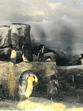 名古屋港水族館に投稿された画像（2024/8/23）