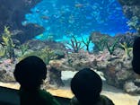 サンシャイン水族館に投稿された画像（2024/8/23）