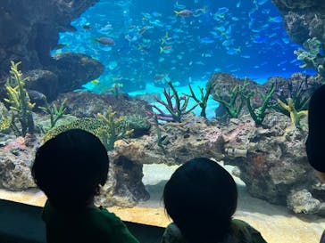 サンシャイン水族館に投稿された画像（2024/8/23）