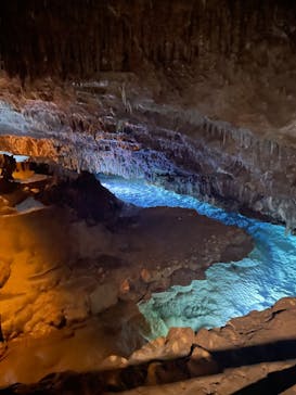 おきなわワールドに投稿された画像（2024/8/23）