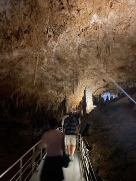 おきなわワールドに投稿された画像（2024/8/23）