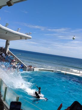 鴨川シーワールドに投稿された画像（2024/8/23）