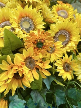 レゴランドⓇ・ジャパン・リゾートに投稿された画像（2024/8/23）