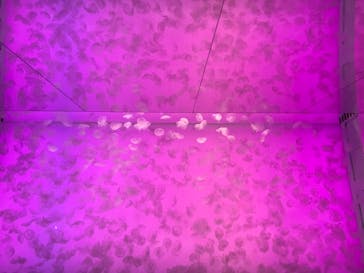 アクアワールド茨城県大洗水族館に投稿された画像（2024/8/23）