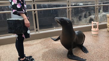 アクアワールド茨城県大洗水族館に投稿された画像（2024/8/23）