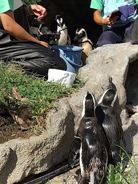 サンシャイン水族館に投稿された画像（2024/8/23）