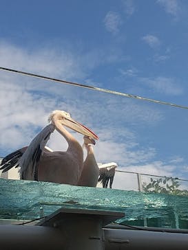 サンシャイン水族館に投稿された画像（2024/8/23）