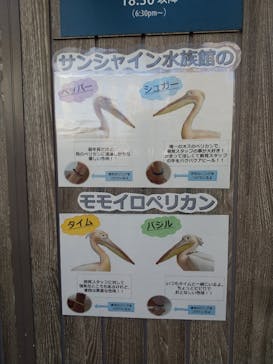 サンシャイン水族館に投稿された画像（2024/8/23）