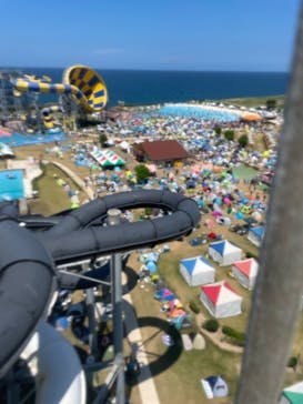 芝政ワールドに投稿された画像（2024/8/23）