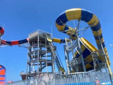 芝政ワールドに投稿された画像（2024/8/23）