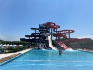 芝政ワールドに投稿された画像（2024/8/23）