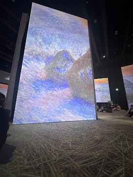 モネ＆フレンズ・アライブに投稿された画像（2024/8/23）