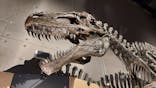 福井県立恐竜博物館に投稿された画像（2024/8/24）