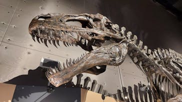 福井県立恐竜博物館に投稿された画像（2024/8/23）