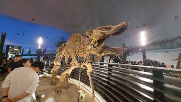 福井県立恐竜博物館に投稿された画像（2024/8/23）
