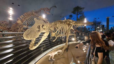 福井県立恐竜博物館に投稿された画像（2024/8/23）