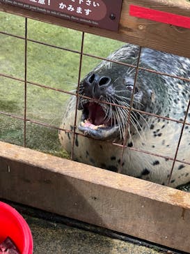那須どうぶつ王国に投稿された画像（2024/8/24）