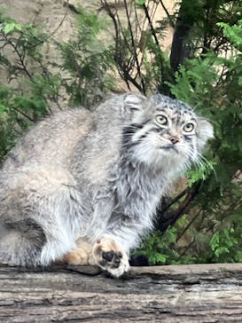 那須どうぶつ王国に投稿された画像（2024/8/24）