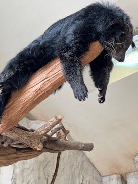 那須どうぶつ王国に投稿された画像（2024/8/24）