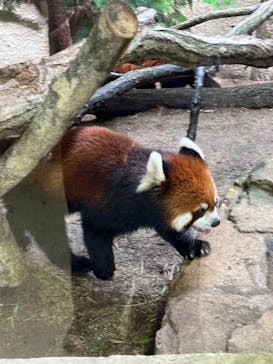 那須どうぶつ王国に投稿された画像（2024/8/24）