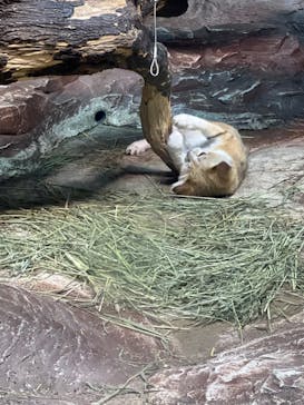 那須どうぶつ王国に投稿された画像（2024/8/24）