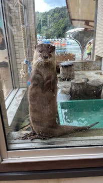 下田海中水族館に投稿された画像（2024/8/24）