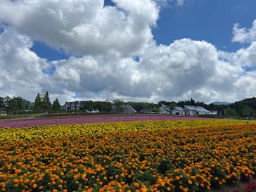 牧歌の里に投稿された画像（2024/8/24）