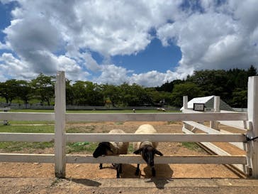 牧歌の里に投稿された画像（2024/8/24）