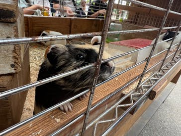 牧歌の里に投稿された画像（2024/8/24）