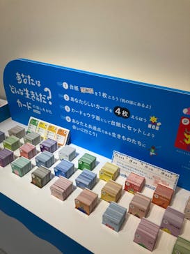 NIFREL（ニフレル）に投稿された画像（2024/8/24）