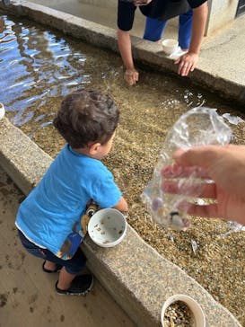 ストーンミュージアム博石館に投稿された画像（2024/8/24）