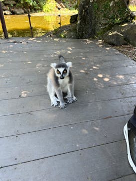 伊豆シャボテン動物公園に投稿された画像（2024/8/24）