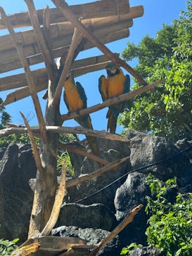 伊豆シャボテン動物公園に投稿された画像（2024/8/24）