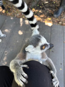 伊豆シャボテン動物公園に投稿された画像（2024/8/24）