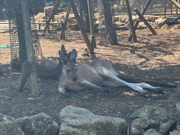 伊豆シャボテン動物公園に投稿された画像（2024/8/24）