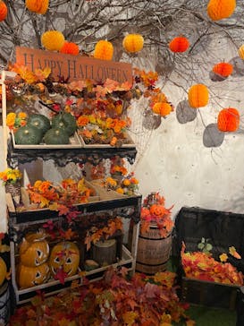 おふろcafé ハレニワの湯に投稿された画像（2024/8/24）