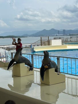 マリンワールド海の中道に投稿された画像（2024/8/24）