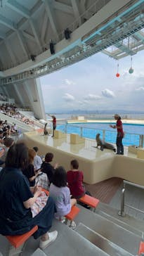 マリンワールド海の中道に投稿された画像（2024/8/24）