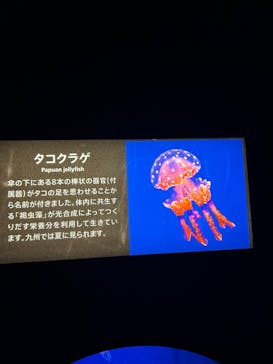 マリンワールド海の中道に投稿された画像（2024/8/24）